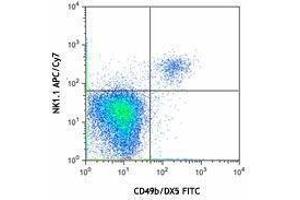 anti-NK-1.1 antibody (APC-Cy7)