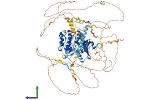 AlphaFold protein structure predicition of Human Recombinant SIK2 Protein, UniprotID Q9H0K1