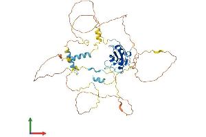 AlphaFold protein structure predicition of Mouse Recombinant Shb Protein, UniprotID Q6PD21