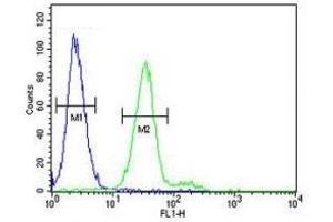 CD117 antibody flow cytometric analysis of 293 cells (green) compared to a negative control cell (blue).