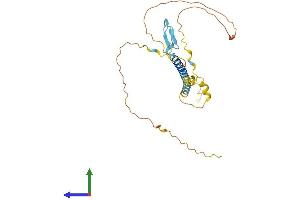 AlphaFold protein structure predicition of Human Recombinant WBP1 Protein, UniprotID Q96G27