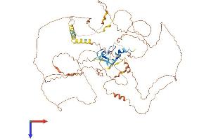 AlphaFold protein structure predicition of Human Recombinant SCEL Protein, UniprotID O95171