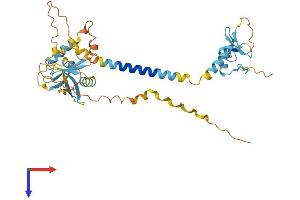 AlphaFold protein structure predicition of Mouse Recombinant Rnf215 Protein, UniprotID Q5SPX3