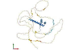 AlphaFold protein structure predicition of Human Recombinant HOXA10 Protein, UniprotID P31260
