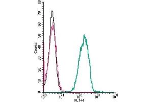 Cell surface detection of C5aR1 by indirect flow cytometry in live intact human THP-1 monocytic leukemia cells: (black line) Cells.