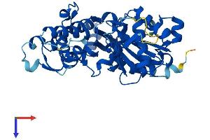 AlphaFold protein structure predicition of Human Recombinant ACTRT2 Protein, UniprotID Q8TDY3