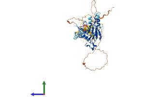 AlphaFold protein structure predicition of Mouse Recombinant Irf5 Protein, UniprotID P56477