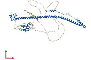 AlphaFold protein structure predicition of Human Recombinant TRIM55 Protein, UniprotID Q9BYV6