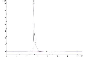The purity of Human CDH3 is greater than 95 % as determined by SEC-HPLC.