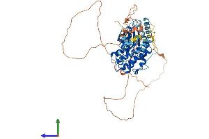 AlphaFold protein structure predicition of Human Recombinant MAPK15 Protein, UniprotID Q8TD08