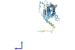 AlphaFold protein structure predicition of Mouse Recombinant Septin2 Protein, UniprotID P42208