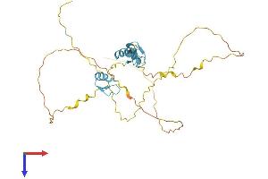 AlphaFold protein structure predicition of Human Recombinant ZNF414 Protein, UniprotID Q96IQ9