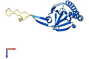 AlphaFold protein structure predicition of Mouse Recombinant Tpt1 Protein, UniprotID P63028