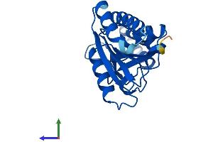 AlphaFold protein structure predicition of Mouse Recombinant Ssu72 Protein, UniprotID Q9CY97
