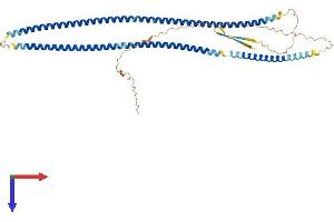 AlphaFold protein structure predicition of Mouse Recombinant Des Protein, UniprotID P31001