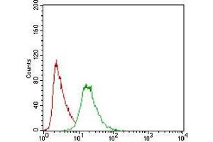 Flow cytometric analysis of Hela cells using PON1 mouse mAb (green) and negative control (red).