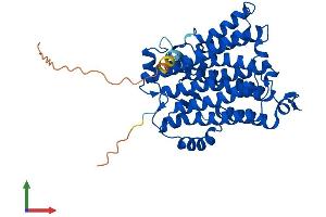 AlphaFold protein structure predicition of Human Recombinant CEPT1 Protein, UniprotID Q9Y6K0