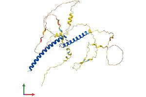 AlphaFold protein structure predicition of Human Recombinant MYCL Protein, UniprotID P12524