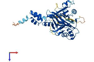 AlphaFold protein structure predicition of Human Recombinant FBXO22 Protein, UniprotID Q8NEZ5