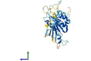 AlphaFold protein structure predicition of Mouse Recombinant Elp5 Protein, UniprotID Q99L85