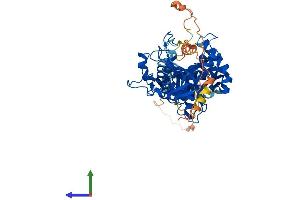 AlphaFold protein structure predicition of Human Recombinant ATE1 Protein, UniprotID O95260