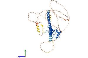 AlphaFold protein structure predicition of Human Recombinant THAP5 Protein, UniprotID Q7Z6K1