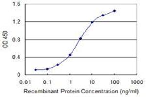 Detection limit for recombinant GST tagged CHURC1 is 0. (CHURC1 anticorps  (AA 1-112))