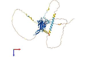 AlphaFold protein structure predicition of Human Recombinant SNIP1 Protein, UniprotID Q8TAD8
