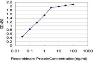 Detection limit for recombinant GST tagged ESM1 is approximately 0. (ESM1 anticorps  (AA 85-184))