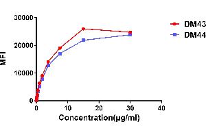 Affinity ranking of different Rabbit anti-CD48 mAb clones by titration of different concentration onto H929 cells. (Recombinant CD48 anticorps  (AA 27-220))