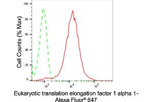 Flow cytometric analysis of Eukaryotic translation elongation factor 1 alpha 1 expression in HepG2 cells using Eukaryotic translation elongation factor 1 alpha 1 antibody (ABIN7798498), 1:2,000). (Recombinant eEF1A1 anticorps)