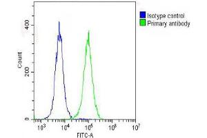 Overlay histogram showing Hela cells stained with (ABIN6242746 and ABIN6578636) (green line).