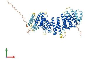 AlphaFold protein structure predicition of Mouse Recombinant Tti2 Protein, UniprotID Q8BGV4