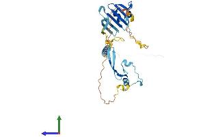 AlphaFold protein structure predicition of Mouse Recombinant Tnmd Protein, UniprotID Q9EP64