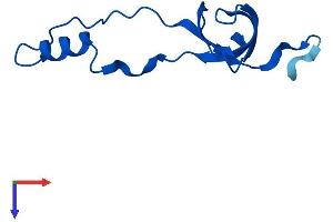 AlphaFold protein structure predicition of Human Recombinant RPL36AL Protein, UniprotID Q969Q0