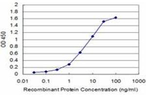 Detection limit for recombinant GST tagged HOXB7 is approximately 0.
