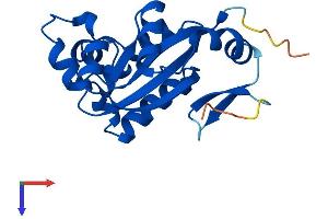 AlphaFold protein structure predicition of Human Recombinant NME6 Protein, UniprotID O75414