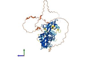 AlphaFold protein structure predicition of Human Recombinant PRKAG3 Protein, UniprotID Q9UGI9