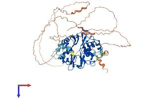 AlphaFold protein structure predicition of Human Recombinant PRKAG2 Protein, UniprotID Q9UGJ0