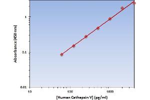 This is an example of what a typical standard curve will look like. (Cathepsin L2 Kit ELISA)