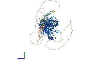 AlphaFold protein structure predicition of Human Recombinant USP38 Protein, UniprotID Q8NB14