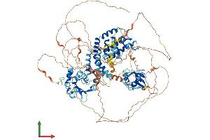 AlphaFold protein structure predicition of Human Recombinant RIN3 Protein, UniprotID Q8TB24
