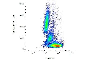 Flow cytometry analysis (intracellular staining) of human peripheral blood with anti-Bcl2 (Bcl-2/100) PE. (Bcl-2 anticorps  (AA 41-54) (PE))