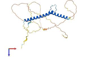 AlphaFold protein structure predicition of Human Recombinant NEUROG2 Protein, UniprotID Q9H2A3