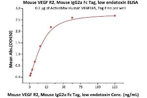 Immobilized Human VEGF165, Tag Free (Hied) (ABIN2181903,ABIN2693608,ABIN3071747) at 2 μg/mL (100 μL/well) can bind Mouse VEGF R2, Mouse IgG2a Fc Tag, low endotoxin (ABIN5674651,ABIN6809982) with a linear range of 1-31 ng/mL (QC tested). (VEGFR2/CD309 Protein (AA 20-762) (Fc Tag))