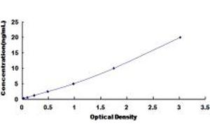Typical standard curve (RBM38 Kit ELISA)