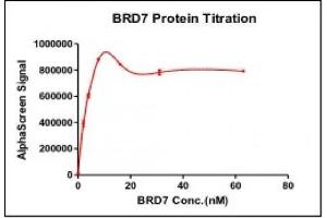 Recombinant BRD7 (129-236), GST-tag activity using AlphaLISA. (BRD7 Protein (AA 129-236) (GST tag))