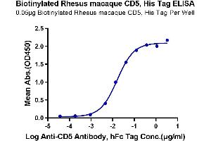 Immobilized Biotinylated Rhesus macaque CD5, His Tag at 0.