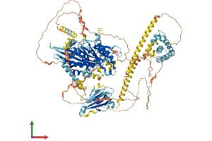 AlphaFold protein structure predicition of Mouse Recombinant Kif1c Protein, UniprotID O35071