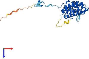 AlphaFold protein structure predicition of Mouse Recombinant Pacrg Protein, UniprotID Q9DAK2